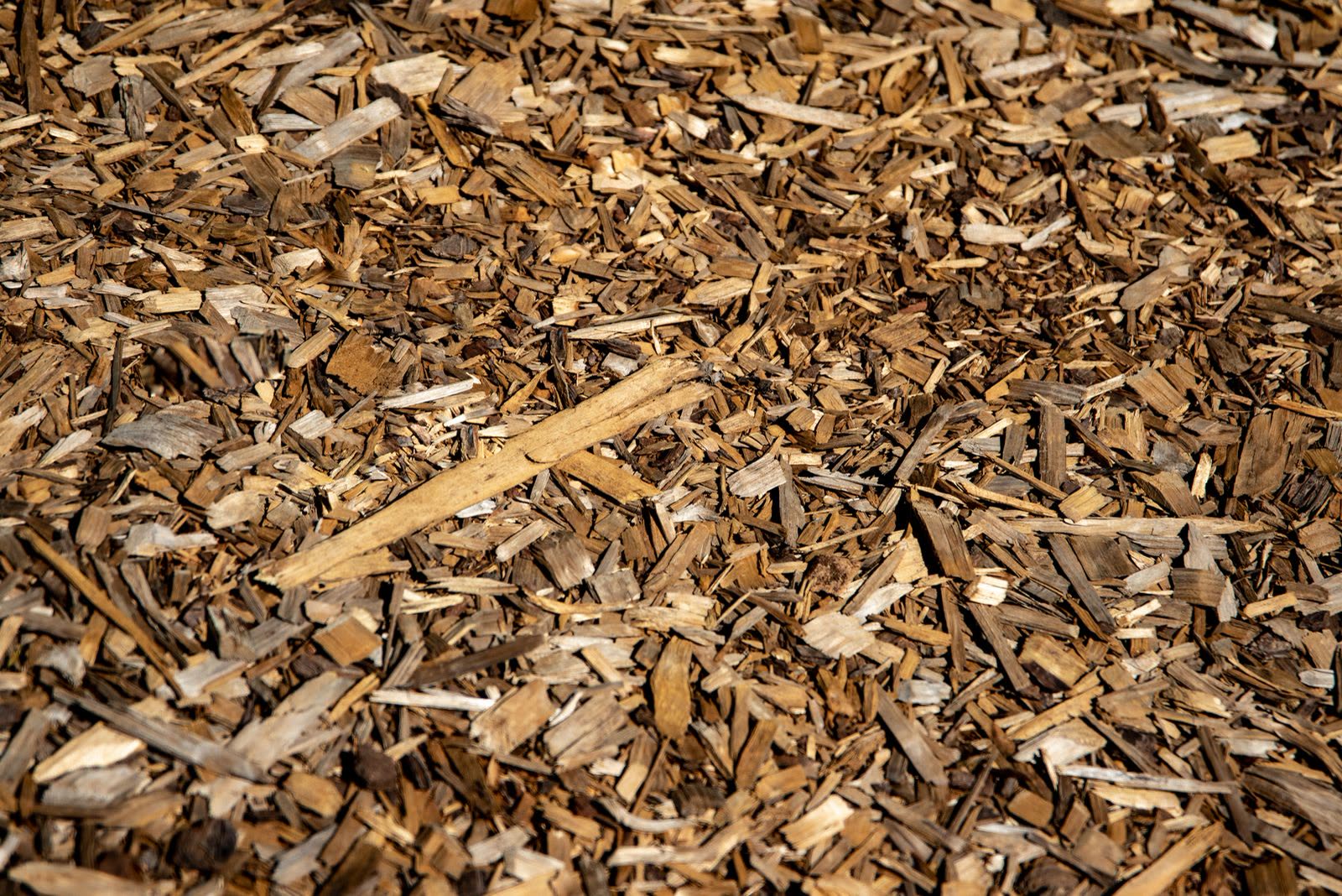 Close view of fresh wood bark mulch