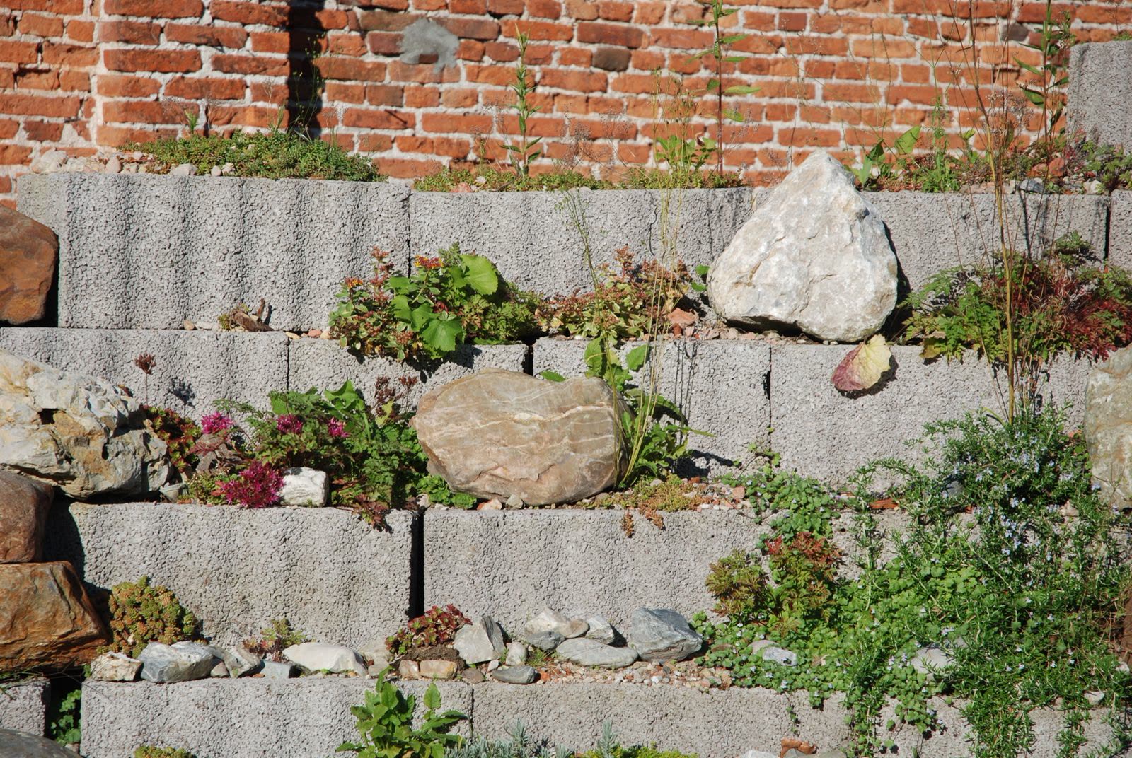 Terraced retaining wall of stacked concrete blocks with rock garden plants